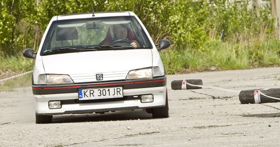 Kręciołek Krakowski